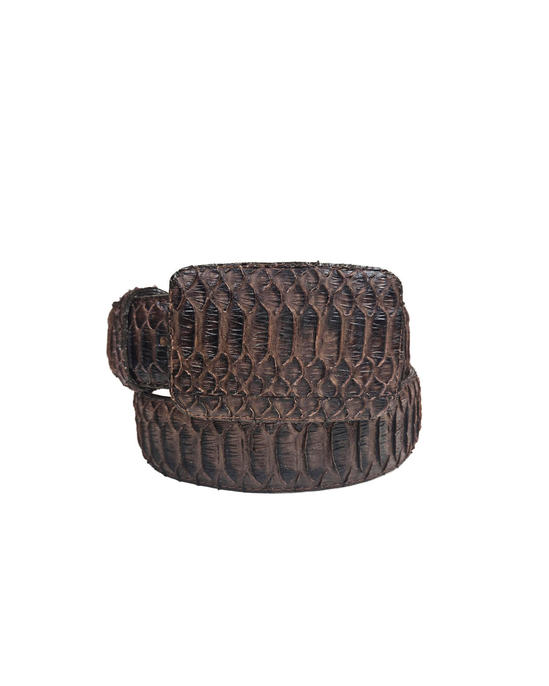 Cinturón Python Café